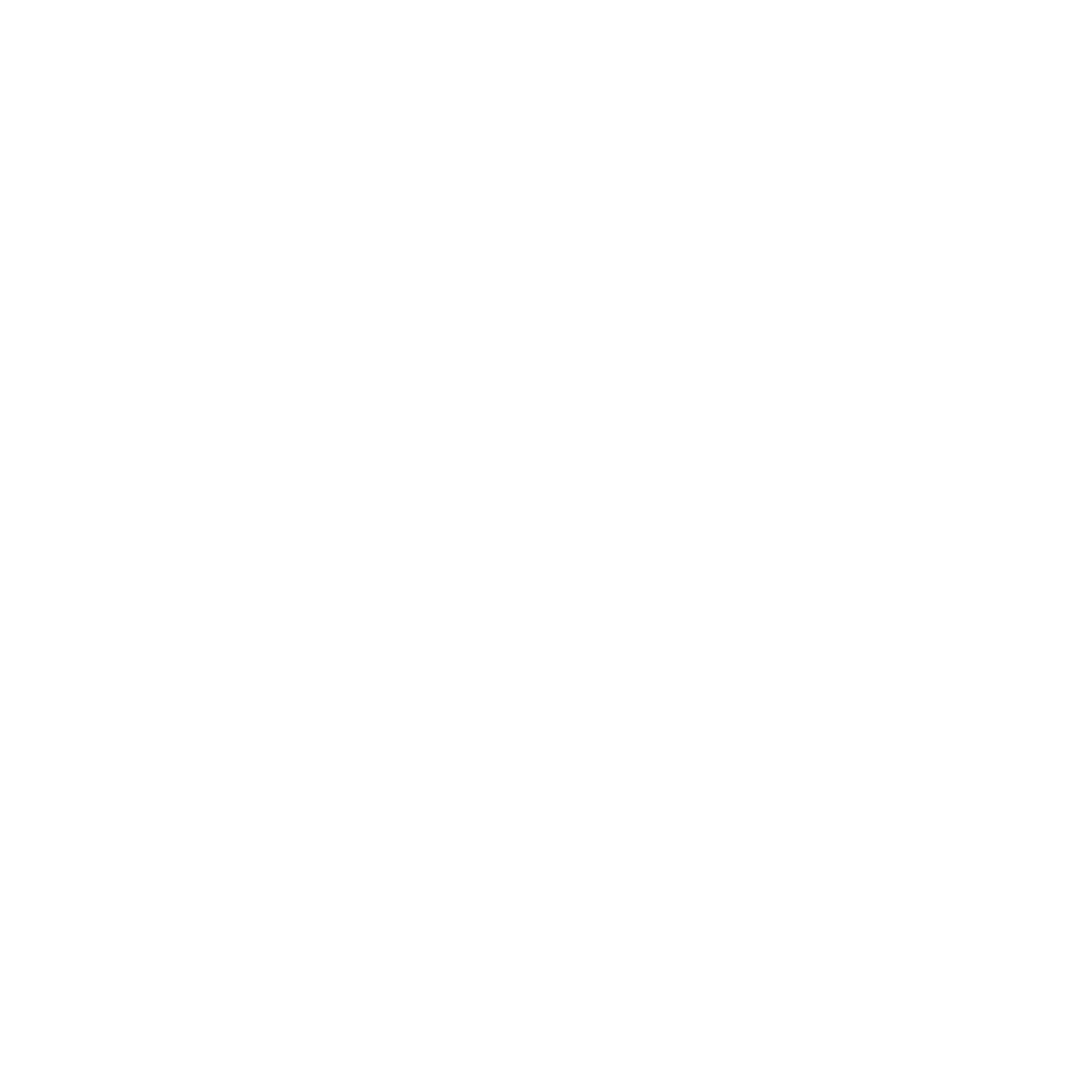 stoik-laravel logo